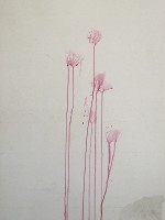 http://www.mireillegros.ch/files/gimgs/th-11_2-Etching-70x50+100x70-pape.jpg